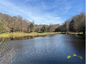 etang à la vente -   87120  DOMPS, surface 10000 m2 vente etang - UBI458033951